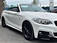 BMW 2 Series 2.0 220d M Sport 2dr Step Auto M PERFORMANCE PACK+HIGH SPEC Convertible Diesel White